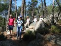 2017-06-01 10-00-51 Rando Fontainebleau MDe